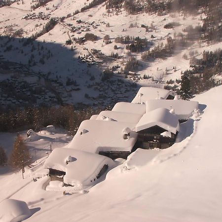 Rifugio Vieux Crest Ξενοδοχείο Champoluc Εξωτερικό φωτογραφία